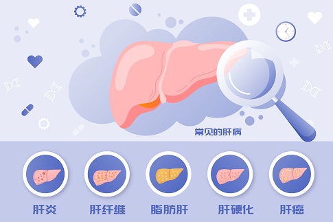 zDW_402142207_ȫ۸ճҊβʸ宋Iã.jpg