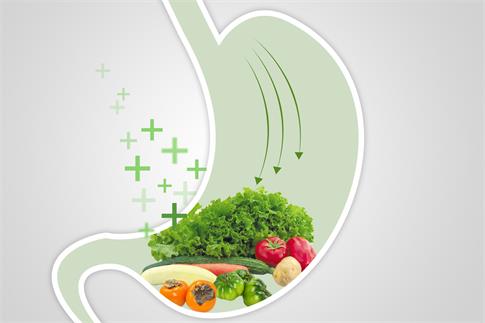 1735260598871367.jpg 攝圖網_500850486_banner_ 綠色蔬菜健康胃部飲食(企業商用).jpg