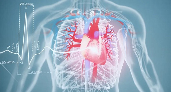 1754966150692547.jpg 微信圖片_20250812074503.jpg