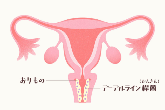 1755733940235394.png 640.png