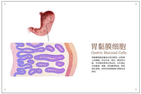 1756339171573402.jpg 微信圖片_20250828074431.jpg