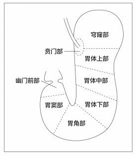 1756339215662649.jpg 微信圖片_20250828074442.jpg