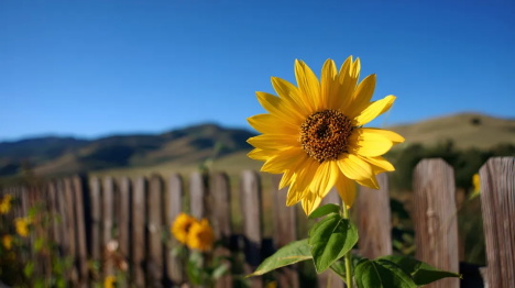 1757723768467169.jpg 640.jpg